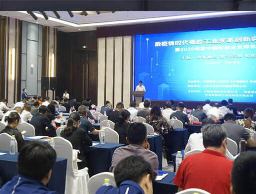 We attended Theme Summit of Rubber Industry Innovation and Breakthrough